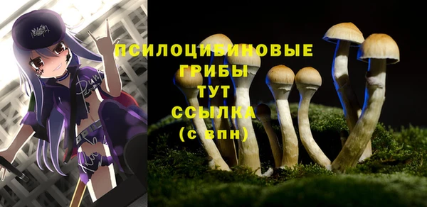 apvp Богородицк