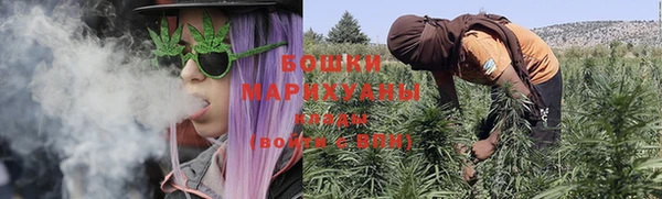 ГАЛЛЮЦИНОГЕННЫЕ ГРИБЫ Бронницы