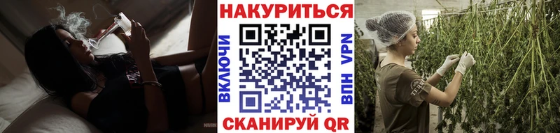 наркотики Кедровый Шишки марихуана THC 21%